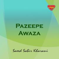 Pazeepe Awaza songs mp3