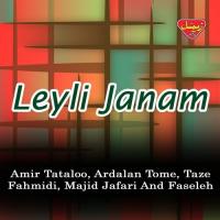 Leyli Janam songs mp3