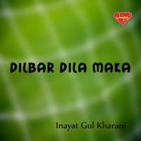 To Pa Lado Baar Inayat Gul Kharani Song Download Mp3