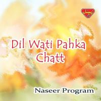 Dil Wati Pahka Chatt songs mp3