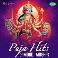 Puja Hits - Mohd. Mushir songs mp3
