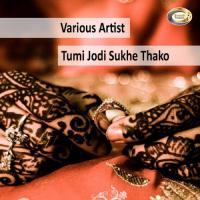 Tumi Jodi Sukhe Thako songs mp3