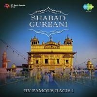 Shabad Gurbani By Famous Ragis Vol. 1 songs mp3