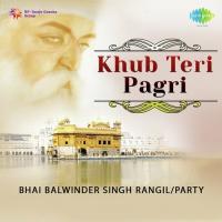 Khub Teri Pagri songs mp3