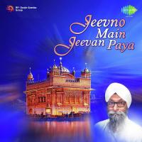 Rav Ke Sut Ko Bhai Jagjit Singh Song Download Mp3
