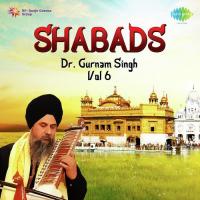 Dr. Gurnam Singh Shabads Vol. 6 songs mp3