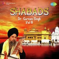 Dr. Gurnam Singh Shabads Vol. 8 songs mp3