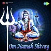 Om Namah Shivay songs mp3