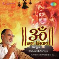 Om Namah Shivay songs mp3