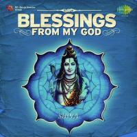 Shiv Ashtakam Stotra - Prabhum Prannaatham Gayathri Ashokan Song Download Mp3