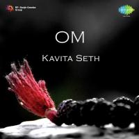 Om Meditation And Krishan Mantra Kavita Seth Song Download Mp3