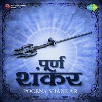Mahamrityunjay - 11 Repititions Of Mahamrityunjaya Shloka Anand Kurhekar Song Download Mp3