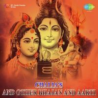 Chalisa And Other Bhajan And Aarti - Shiv songs mp3