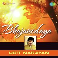 Main Nahin Mera Nahin Udit Narayan Song Download Mp3
