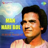 He Ambe Jagadambe Sun Le Pukar Suresh Wadkar Song Download Mp3