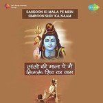 Bum Bum Bhole Mahadev Rajesh Chauhan Song Download Mp3