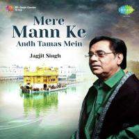 Mere Maan Ke Andh Tamas Mein - Jagjit Singh songs mp3