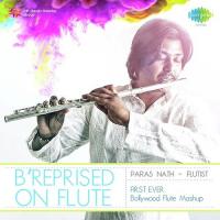 B Reprised On Flute - Mashup songs mp3