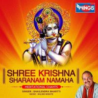 Shree Krishna Sharanam Namaha Shailendra Bhartti Song Download Mp3