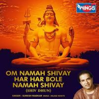 Om Namah Shivay Har Har Bole Namah Shivay Suresh Wadkar Song Download Mp3