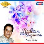 Radha Ke Bina Shayam Adha Anup Jalota Song Download Mp3