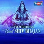 12 Jyotirlinga - Best Shiv Bhajan songs mp3