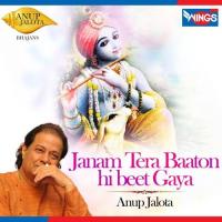 Janam Tera Baaton Hi Beet Gaya Anup Jalota Song Download Mp3