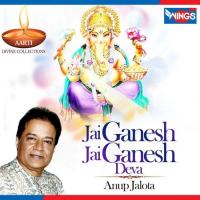 Jai Ganesh Jai Ganesh Deva (Aarti) songs mp3