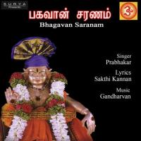 Bhagavan Saranam songs mp3