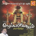 Neeradu Pambayil Vignesh Ravi Song Download Mp3