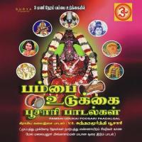 Pambai Udukkai V.S. Sundaramoorthy Poosari Song Download Mp3