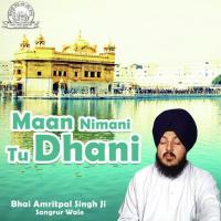 Maan Nimani Tu Dhani songs mp3