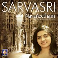Seethamma Sarvasri Song Download Mp3
