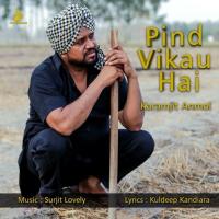 Pind Vikau Hai songs mp3