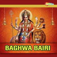 Baghwa Bairi songs mp3