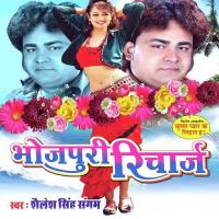 12 Se 1 Baj Gaile Shalender Singh Song Download Mp3