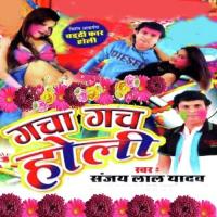 Holiya Mein Mara Kacha Kach Sanjay Lal Yadav,Shewta Song Download Mp3