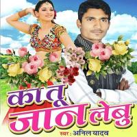 Pichhe Padal Bate Patidar Saiya Anil Yadav Song Download Mp3