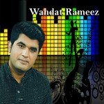 Way Lagiyan Di Laj Rakhlyein Wahdat Rameez Song Download Mp3