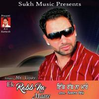 Ek Rabb Na Maare MR. Vijay Song Download Mp3