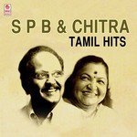Athey Kathal S.P. Balasubrahmanyam,Chitra Song Download Mp3