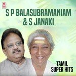S.P. Balasubrahmanyam And S. Janaki Tamil Super Hits songs mp3