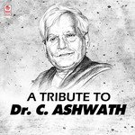 A Tribute To Dr.C. Ashwath songs mp3
