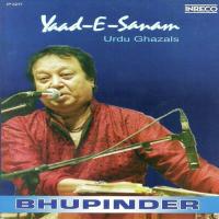 Yaad-E-Sanam songs mp3