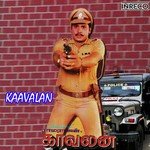 Kanmaniyae Pynkiliyae S.P. Balasubrahmanyam,K.S. Chithra Song Download Mp3