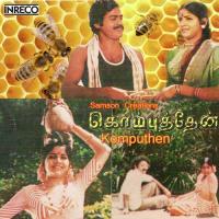 Kodai Thantha Vallal P. Susheela,T.M. Soundararajan Song Download Mp3