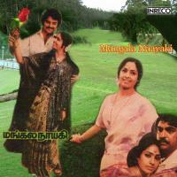 Raajaathi Vani Jairam,S.P. Balasubrahmanyam Song Download Mp3