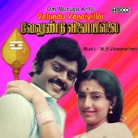Pothaicha K.S. Chithra Song Download Mp3
