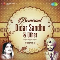 Bemisaal - Didar Sandhu And Other Artist Vol. 2 songs mp3