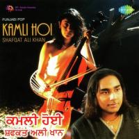 Main Tere Bina Kamli Hoi Shafqat Ali Khan Song Download Mp3
